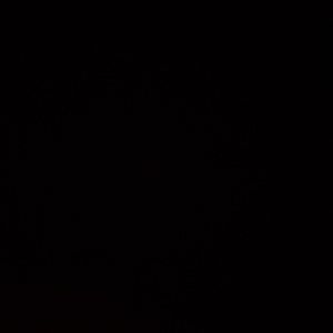 Meet your Posher, Jadyn